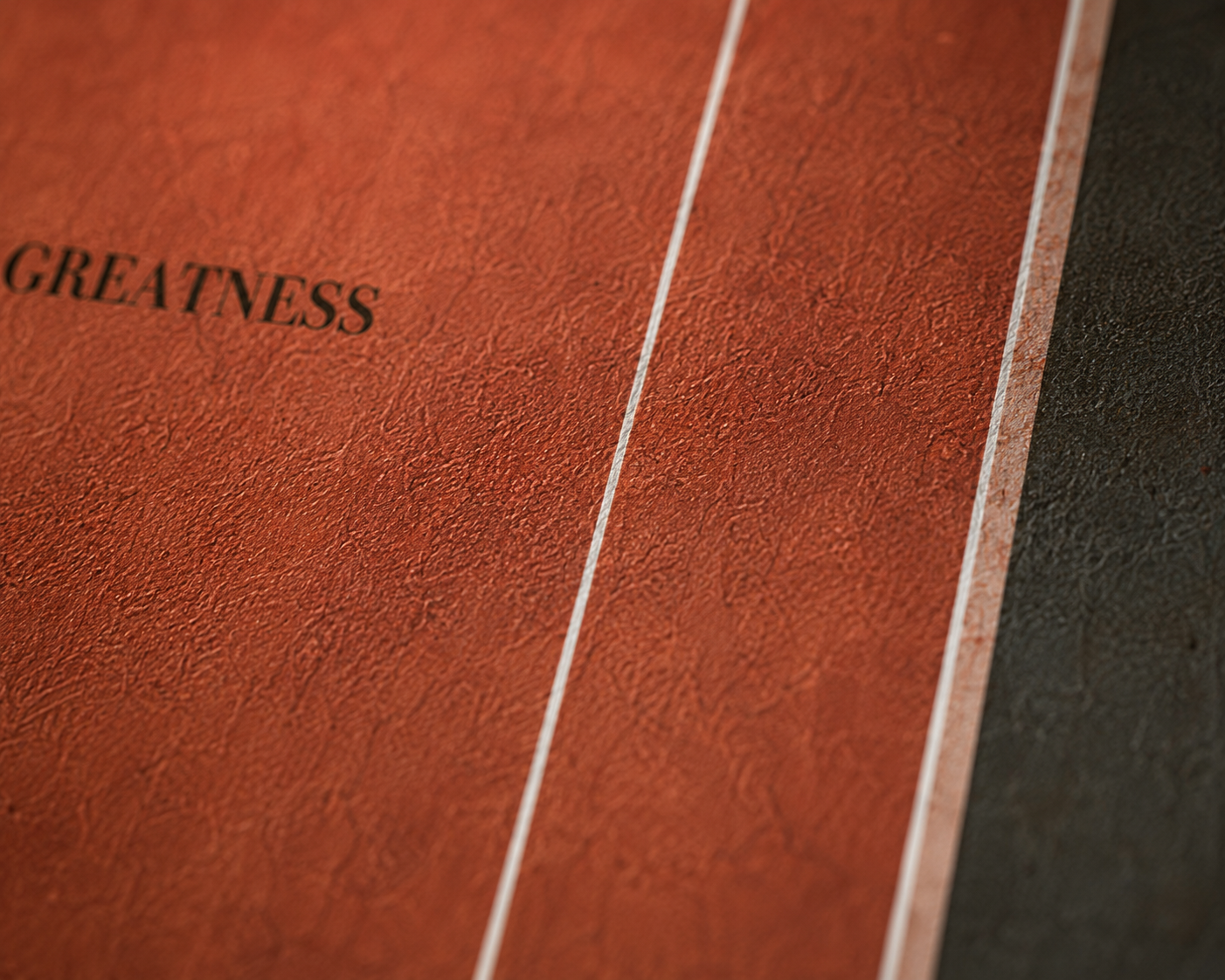 The court - L’affiche